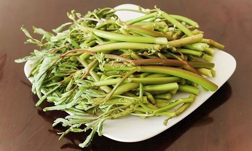 Bài thuốc trị bệnh từ rau rút