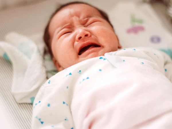 Không nên hễ thấy trẻ khóc là cho bú