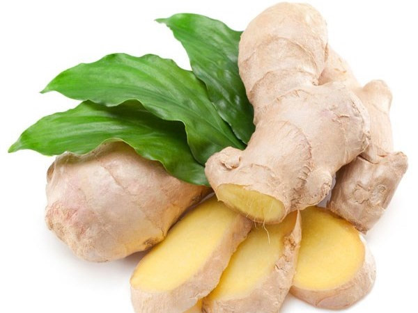 Một số tác dụng chữa bệnh từ củ gừng vàng