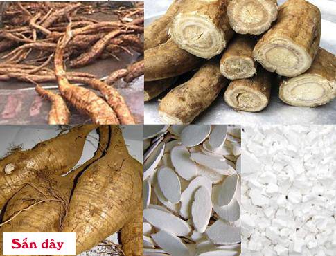 Bộ phận làm thuốc và thành phần hóa học của Sắn dây