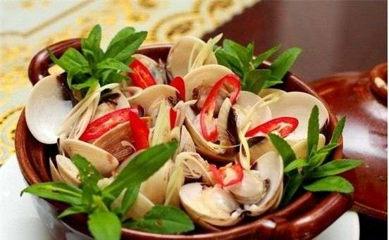 Đặc tính, công dụng của Ngao