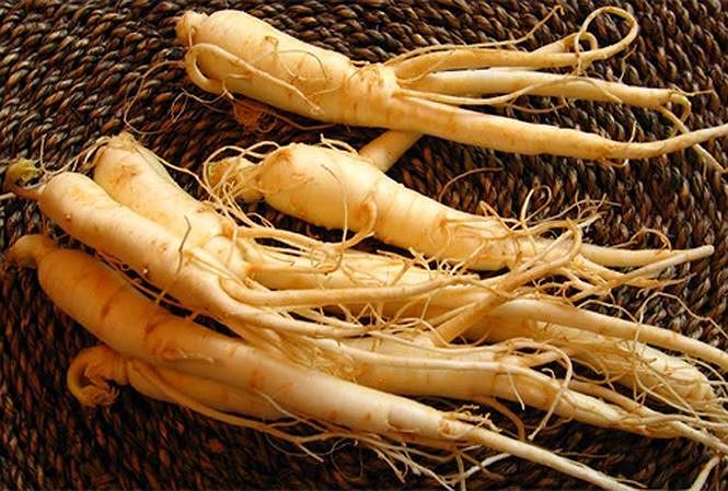 Nhân sâm - Vị thuốc thần tiên