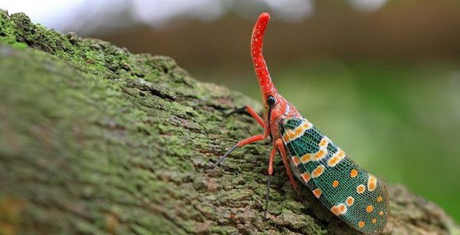 Những lưu ý khi sử dụng thuốc diệt côn trùng