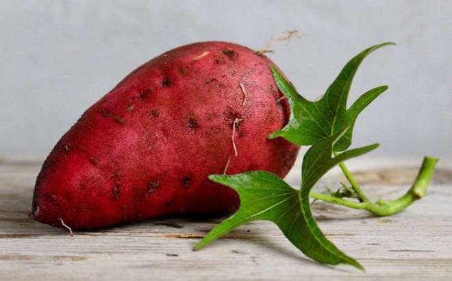 Một số bài thuốc từ Khoai lang