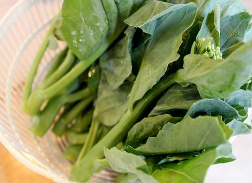 Chất dinh dưỡng trong cải làn