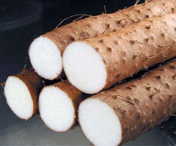 Cách làm món nhổ sợi sơn dược