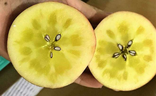 Cách làm Táo mật víu sơn trà